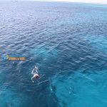 orange bay trip hurghada 2020 book the cheapest diving trip in Hurghada, Red Sea, Egypt