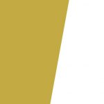 section-ceo